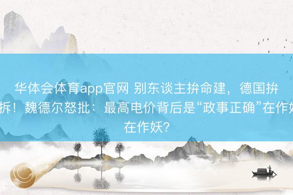 华体会体育app官网 别东谈主拚命建,德国拚命拆!魏德尔怒批:最高电价背后是“政事正确”在作妖?