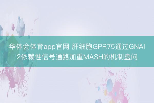 华体会体育app官网 肝细胞GPR75通过GNAI2依赖性信号通路加重MASH的机制盘问